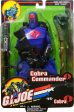 G.I.JOE: COBRA (12 ) - HASBRO-2001 (DAMAGED BOX) Sale