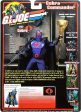 G.I.JOE: COBRA (12 ) - HASBRO-2001 (DAMAGED BOX) Sale